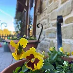 Farm stay Ponte Di Riocchio *