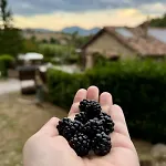 Ponte Di Riocchio Séjour à la ferme