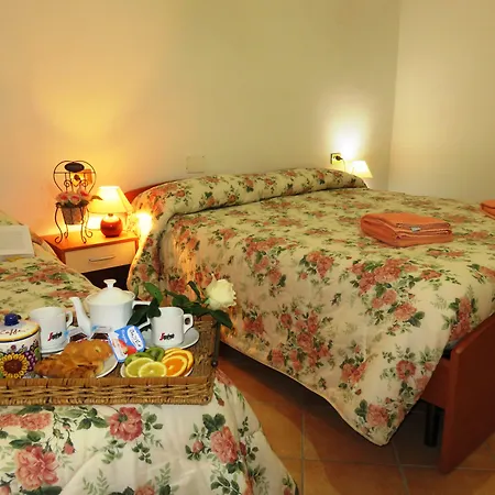 Vakantieboerderij Ponte Di Riocchio *