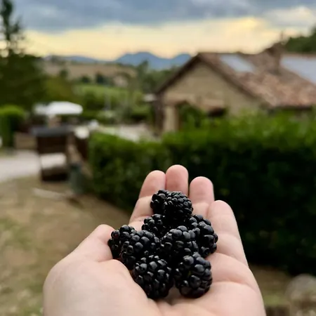 Ponte Di Riocchio Feriegård