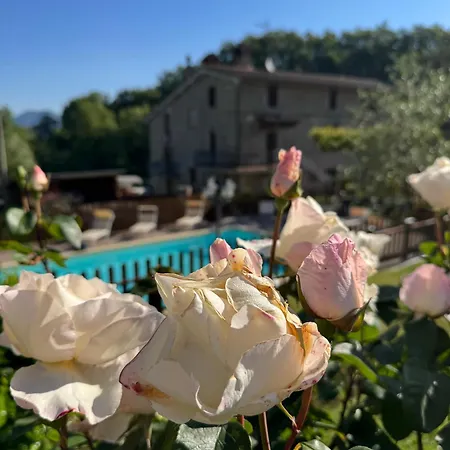Ponte Di Riocchio Vakantieboerderij *